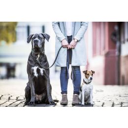 Kentucky Dogwear Hundehalsband gekn&uuml;pftes Nylon Olivgr&uuml;n S 42cm