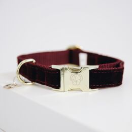 Kentucky Dogwear Hundehalsband Corduroy Bordeaux XL45-75cm