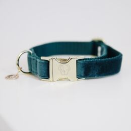 Kentucky Dogwear Hundehalsband Velvet Blaugr&uuml;n M36-52cm