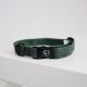 Kentucky Dogwear Hundehalsband Lizard Grün S28-40cm