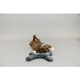 Kentucky Dogwear Hundespielzeug Bone