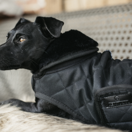 Kentucky Dogwear Hundemantel Original Schwarz XS 31cm