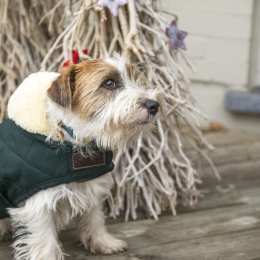 Kentucky Dogwear Hundemantel Original Dunkel Gr&uuml;n SM 42cm