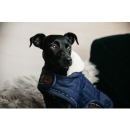 Kentucky Dogwear Hundemantel Pearls Blau M 46cm