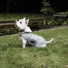 Kentucky Dogwear Hundemantel Waterproof 160g Dusty Blue XS 31cm