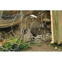 Horizont Conibear Falle 18cm