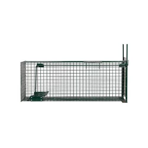Horizont Lebendfalle 1 Klappe 82x32x31cm