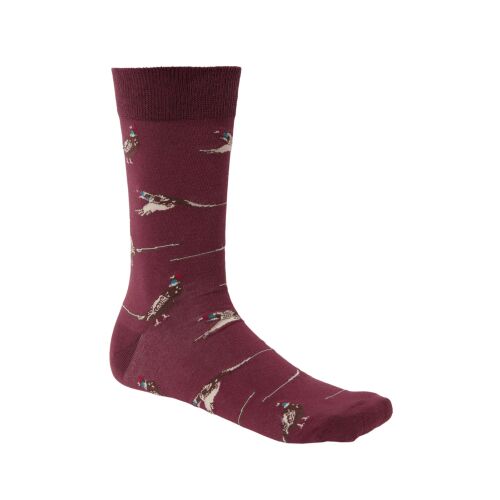 Chevalier Unisex Socken Pomeroy Fox Red Pheasant 43/45