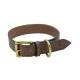 Rey Pavon Hunde Lederhalsband