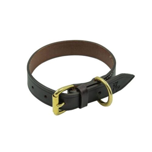 Rey Pavon Hunde Lederhalsband