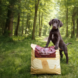 Essential Foods Essential The Beginning Large Breed