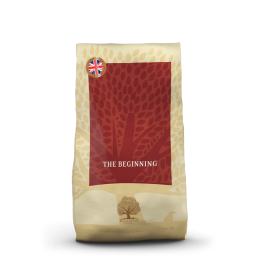 Essential Foods Essential The Beginning