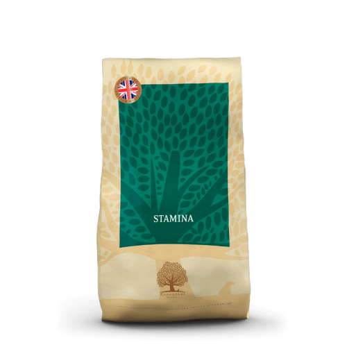 Essential Foods Essential Stamina