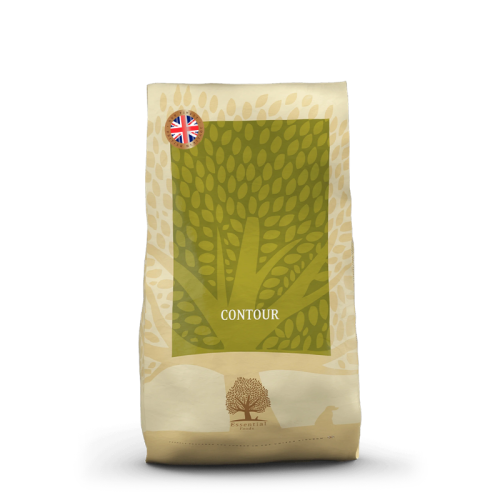 Essential Foods Essential Contour