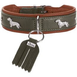 Hunter Hunde Halsband Teckel M&uuml;nchen