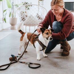 Hunter Hunde Geschirr Hilo Comfort Braun 36-40 cm/XS