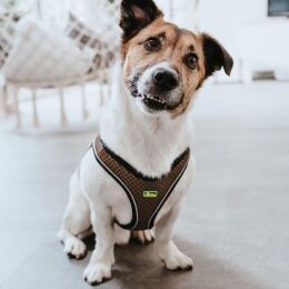 Hunter Hunde Geschirr Hilo Comfort Braun 36-40 cm/XS