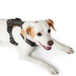 Hunter Hunde Geschirr Maldon Braun/Grau 69-105 cm/L