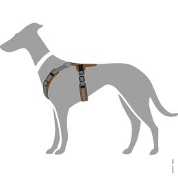 Hunter Hunde Geschirr Maldon Braun/Grau 69-105 cm/L