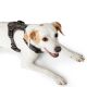 Hunter Hunde Geschirr Maldon Braun/Grau 69-105 cm/L