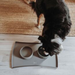 Hunter Hunde Napfunterlage Selection Taupe 48 x 30 cm