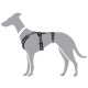 Hunter Hunde Sicherheitsgeschirr Maldon Schwarz/Grau 53-71 cm/M