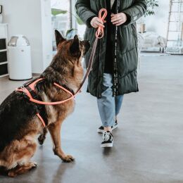 Hunter Hunde Sicherheitsgeschirr Maldon Orange/Grau 53-71 cm/M