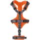 Hunter Hunde Sicherheitsgeschirr Maldon Orange/Grau 53-71 cm/M
