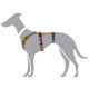 Hunter Hunde Sicherheitsgeschirr Maldon Orange/Grau 53-71 cm/M