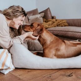 Hunter Hunde Sofa Orthop&auml;disch Seattle Beige 60x40 cm