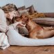 Hunter Hunde Sofa Orthopädisch Seattle Beige 60x40 cm