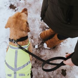 Hunter Hunde Warnweste reflektierend Gelb S
