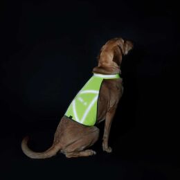 Hunter Hunde Warnweste reflektierend Gelb S