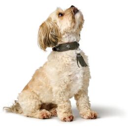 Hunter Hunde Halsband M&uuml;nchen Gr&uuml;n/Cognac 50 cm/S-M