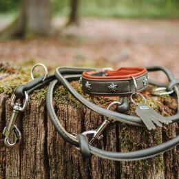 Hunter Hunde Halsband M&uuml;nchen Gr&uuml;n/Cognac 65 cm/L