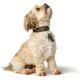 Hunter Hunde Halsband München Grün/Cognac 65 cm/L