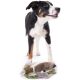Hunter Hunde Spielzeug Hund Wildlife Ente 26cm