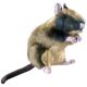 Hunter Hunde Spielzeug Hund Wildlife Ratte 34cm
