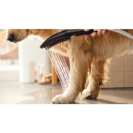 Hansgrohe Dog Shower Schwarz