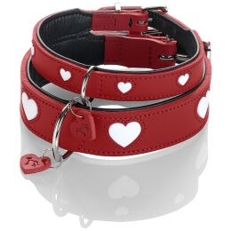 Hunter Hunde Halsband Love