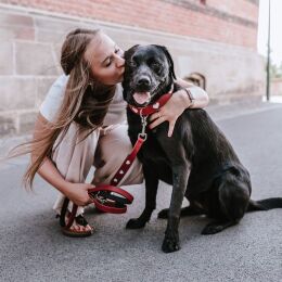 Hunter Hunde Verstellbare F&uuml;hrleine Love