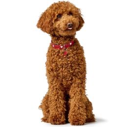 Hunter Hunde Halsband Love 42/S-M