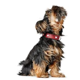 Hunter Hunde Halsband Love 42/S-M