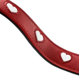Hunter Hunde Verstellbare F&uuml;hrleine Love B 1,3cm x L 200cm