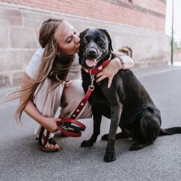 Hunter Hunde Verstellbare F&uuml;hrleine Love B 1,3cm x L 200cm