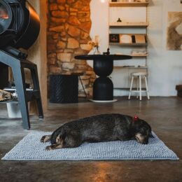 Hunter Hunde Schmutzfangmatte Waterloo Grau M 80 x 60 cm