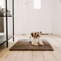 Hunter Hunde Schmutzfangmatte Waterloo Hellbraun L 90 x 60 cm
