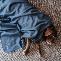Hunter Hunde Decke Casper Blau