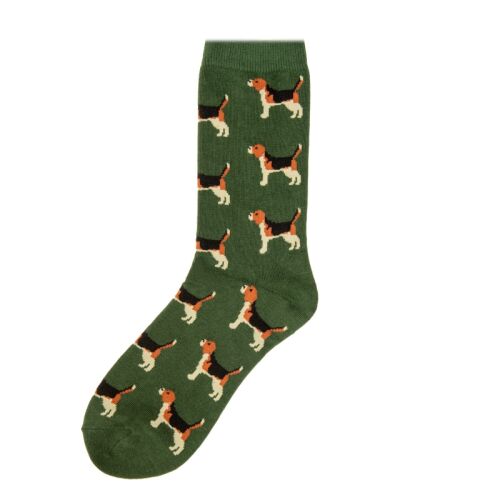 Krawattendackel Unisex Socken Beagle grün