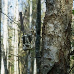 D&ouml;rr Baumschraube f&uuml;r &Uuml;berwachungskameras